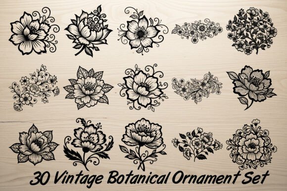 30 Vintage Botanical Ornament Set: Graphics for Crafts